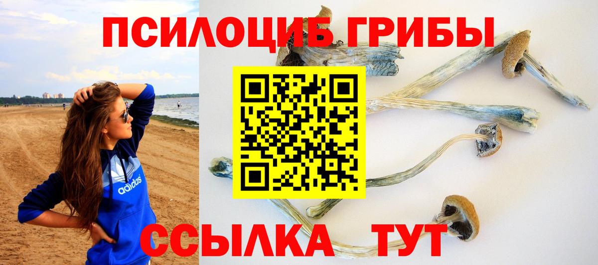 Галлюциногенные грибы прущие грибы Павловский Посад